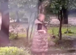 В Калининграде семья жалуется на пожилую соседку, которая ежедневно устраивает скандалы у их окон