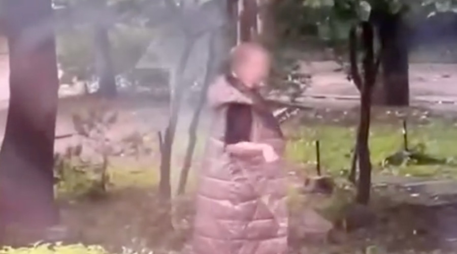 В Калининграде семья жалуется на пожилую соседку, которая ежедневно устраивает скандалы у их окон
