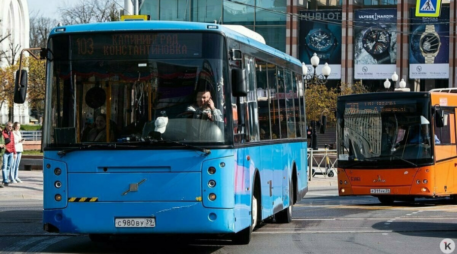 Автобус №145 из Калининграда временно изменит маршрут из-за ремонта в Матросово