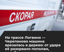 В Зеленоградском районе автомобиль BMW покинул трассу и столкнулся с деревом