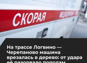 В Зеленоградском районе автомобиль BMW покинул трассу и столкнулся с деревом