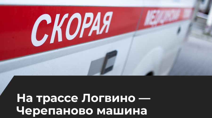 В Зеленоградском районе автомобиль BMW покинул трассу и столкнулся с деревом