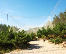 Орнитологическая станция Росситтен (Фрингилла)