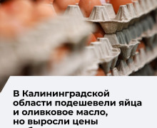 Калининградстат представил данные об изменении цен на продукты в регионе