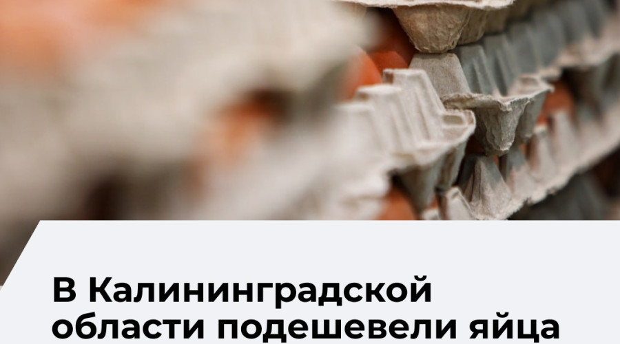 Калининградстат представил данные об изменении цен на продукты в регионе