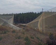 Орнитологическая станция Росситтен (Фрингилла)