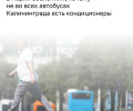 Кондиционеры в общественном транспорте Калининграда: статистика и перспективы