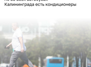 Кондиционеры в общественном транспорте Калининграда: статистика и перспективы