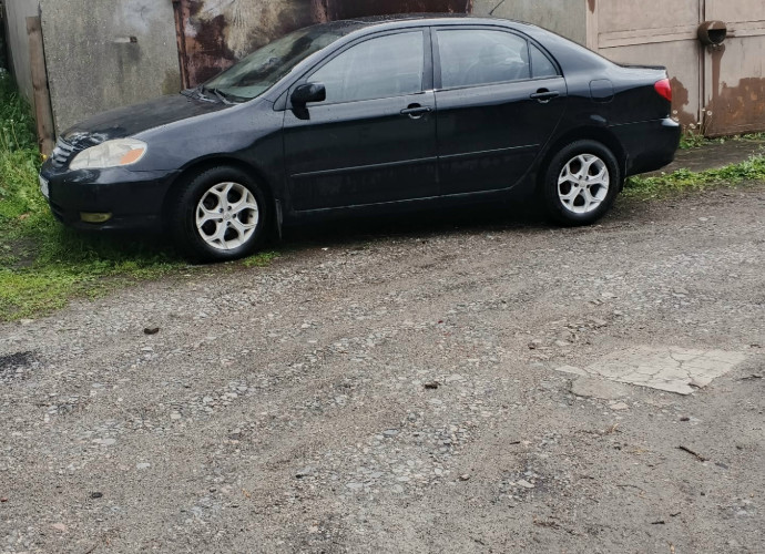 Toyota Corolla, 