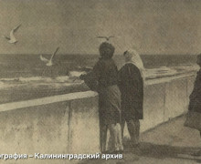 Секрет летней фотографии из Калининграда раскрывают в проекте «Лепота»