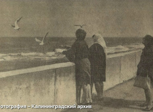 Секрет летней фотографии из Калининграда раскрывают в проекте «Лепота»