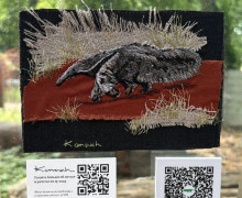 В Калининградском зоопарке похитили вышитую картину с муравьедом