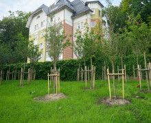 В Светлогорске завершили благоустройство сквера Первых переселенцев