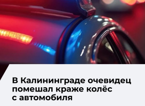 В Калининграде задержаны подозреваемые в попытке кражи колёс с автомобиля Mercedes