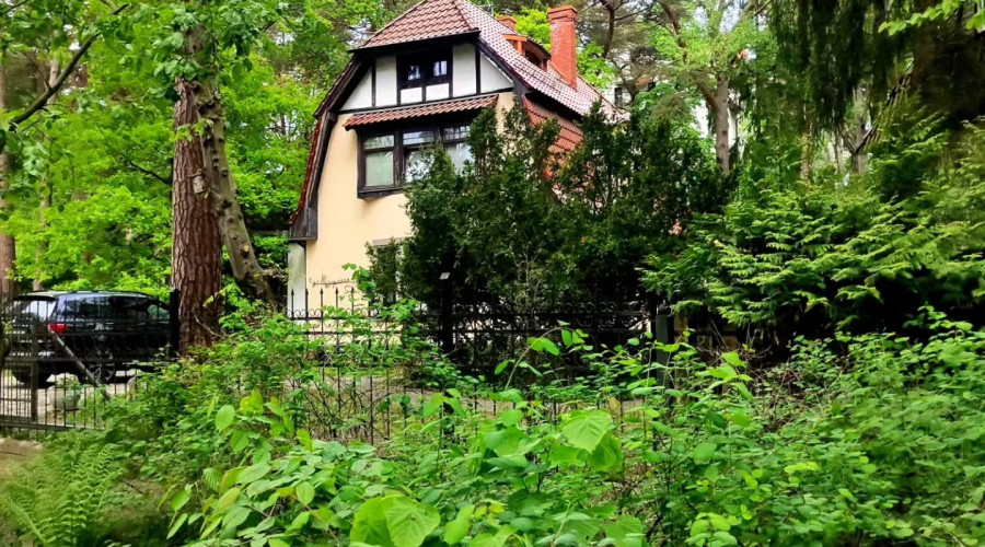 Первые летние дни в Светлогорске
