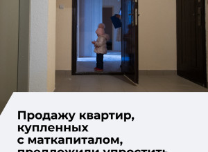 Семьи в РФ всё реже направляют маткапитал на жильё: депутат назвала причину