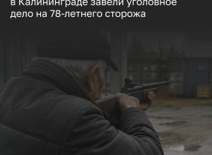 В Калининграде сторож выстрелил в подростка из пневматической винтовки