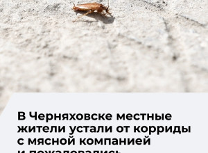 Жители Калининграда пожаловались на запах от мясоперерабатывающего предприятия «Матадор»