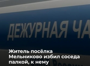 В Калининградской области пенсионер пострадал в конфликте с соседом из-за обустройства въезда во двор