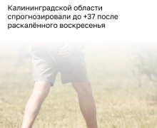 Синоптики предупредили о возможной жаркой погоде в Калининградской области до +37 градусов