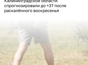 Синоптики предупредили о возможной жаркой погоде в Калининградской области до +37 градусов