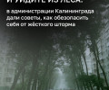 В Калининградской области объявлен режим повышенной готовности из-за штормового ветра до 32 м/с