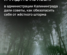 В Калининградской области объявлен режим повышенной готовности из-за штормового ветра до 32 м/с