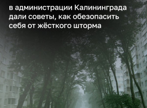 В Калининградской области объявлен режим повышенной готовности из-за штормового ветра до 32 м/с