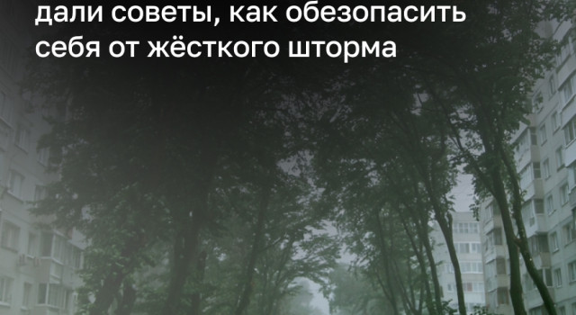 В Калининградской области объявлен режим повышенной готовности из-за штормового ветра до 32 м/с