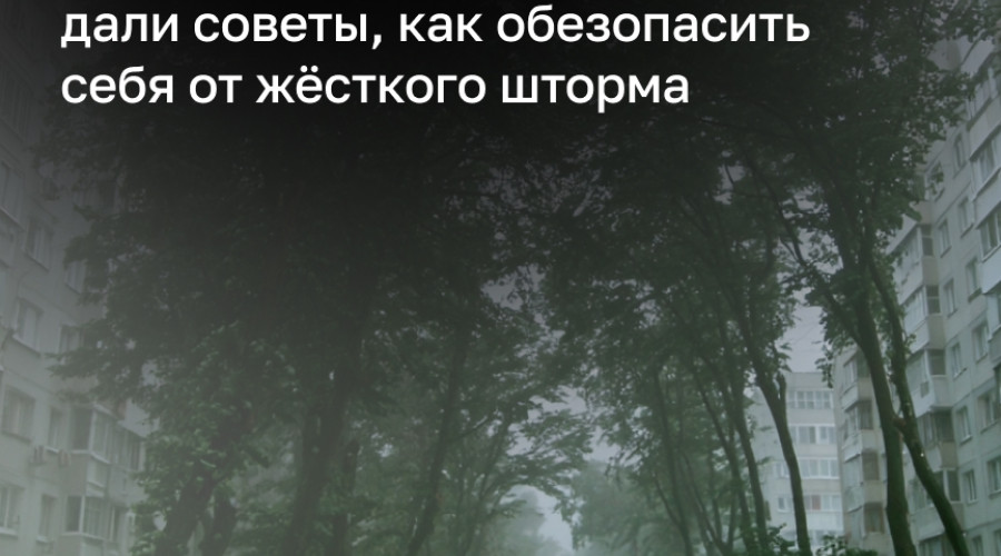 В Калининградской области объявлен режим повышенной готовности из-за штормового ветра до 32 м/с