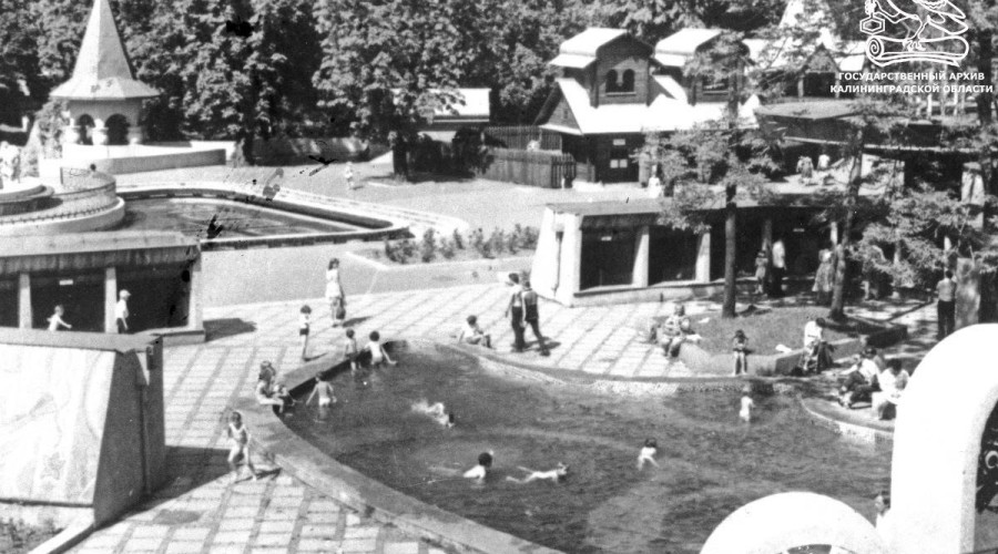 Каким был Калининградский зоопарк в прошлом веке: история восстановления после войны