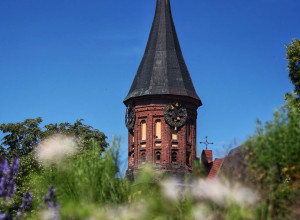 Утро в Калининграде: фото дня
