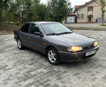 Nissan Primera, 