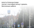В Калининграде разыскивают владельцев бесхозных кабелей на опорах общественного транспорта