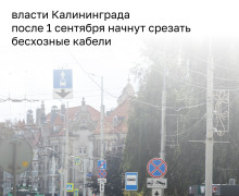 В Калининграде разыскивают владельцев бесхозных кабелей на опорах общественного транспорта