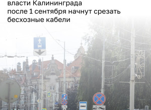 В Калининграде разыскивают владельцев бесхозных кабелей на опорах общественного транспорта