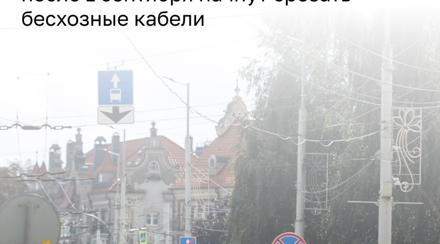 В Калининграде разыскивают владельцев бесхозных кабелей на опорах общественного транспорта