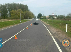 В Нестеровском районе мопедист наехал на пешехода, двигавшегося по краю дороги