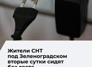 СНТ «Прибой» под Зеленоградском осталось без света вторые сутки