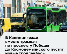 В Космодемьянском планируют запустить троллейбусы с автономным ходом