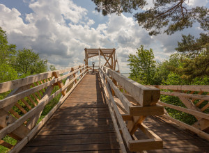 Королевский бор