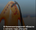 Восемь человек утонули в Калининградской области с начала 2026 года