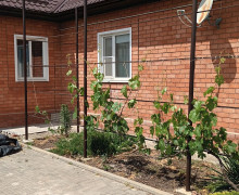 Дом с бизнесом в станице Староминской