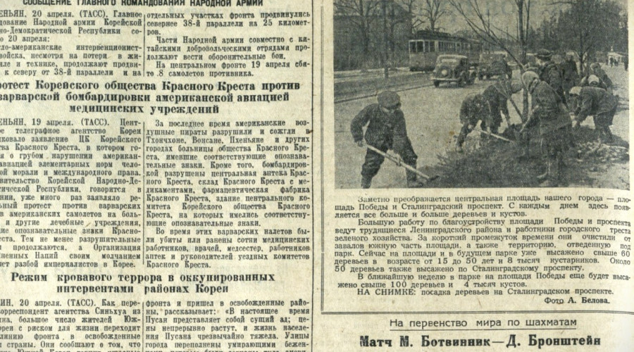 75 лет назад в «Калининградской правде» появился снимок с городского субботника