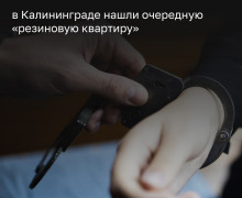 В Калининграде возбудили пять уголовных дел из-за фиктивной постановки на миграционный учёт десяти иностранцев