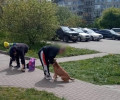 «Отбивала сына утюгом»: в Чкаловске выявили новых пострадавших от нападений стаффордширского терьера