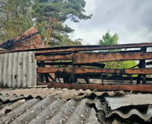 Сотрудники МЧС спасли свыше ста кроликов при пожаре в Светловском округе