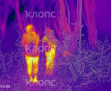 В Калининградской области нашли тело 16-летнего подростка: волонтёров приняли за закладчиков
