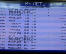 В Храброво скопились очереди из-за задержек рейсов «Аэрофлота» и «Победы»