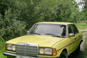 Mercedes-Benz W123, 